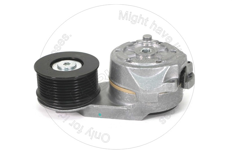 219-7489 Belt Tensioner for BLUMAQ