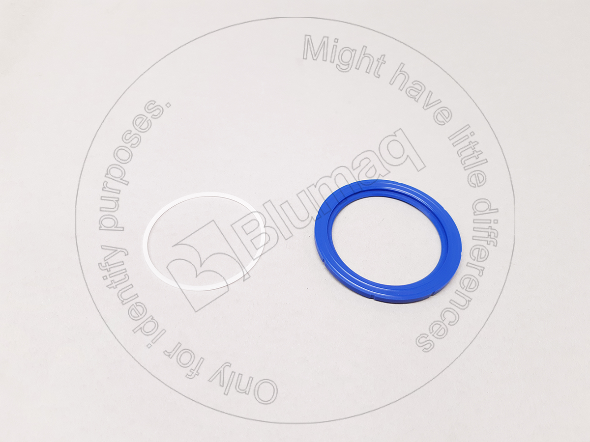 167-2242 Seal for BLUMAQ