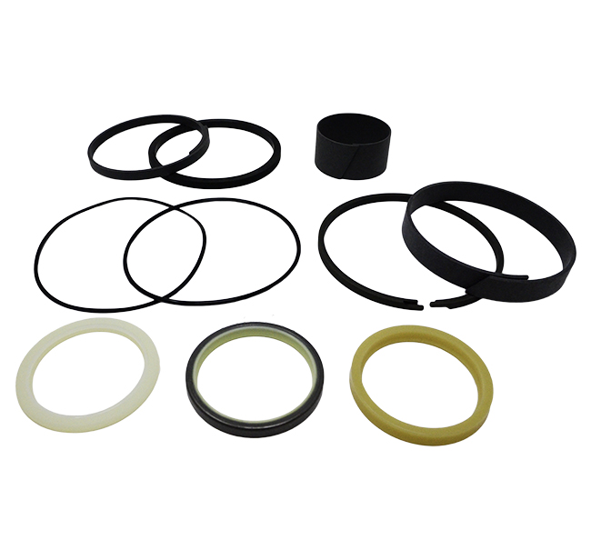179011A1 CASE Seal Kit