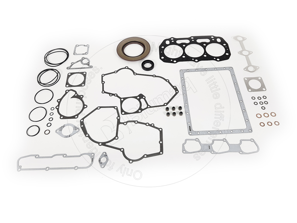 565-5806 BLUMAQ Gasket Kit