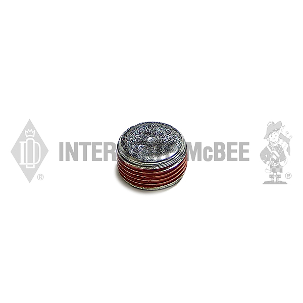M-3008469 Plug - Pipe