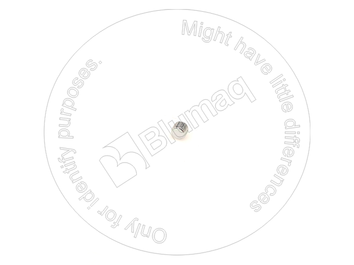 2B-0174 Plug
