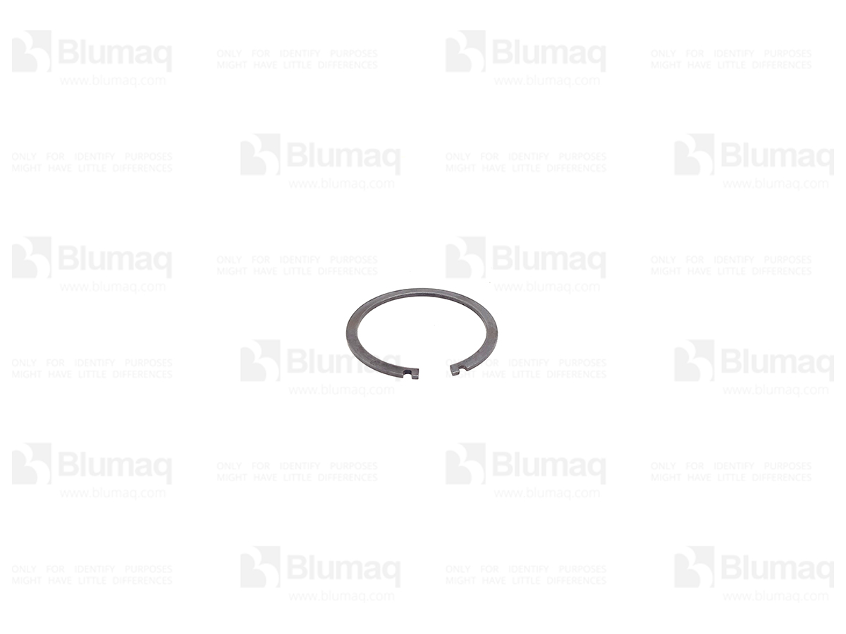 6V-0834 Ring