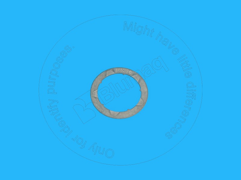 8K-6019 Washer for BLUMAQ