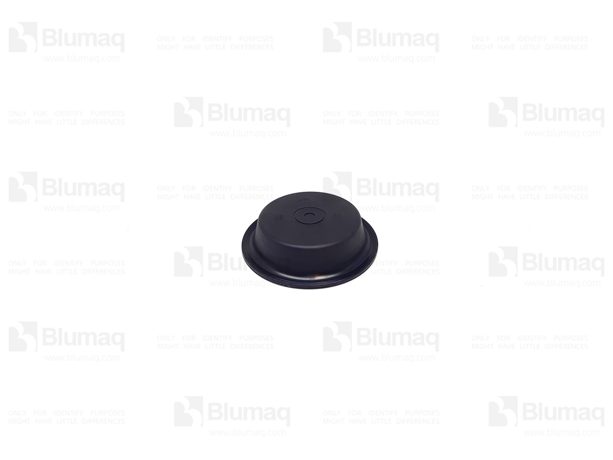 095.113 Membrane for BLUMAQ