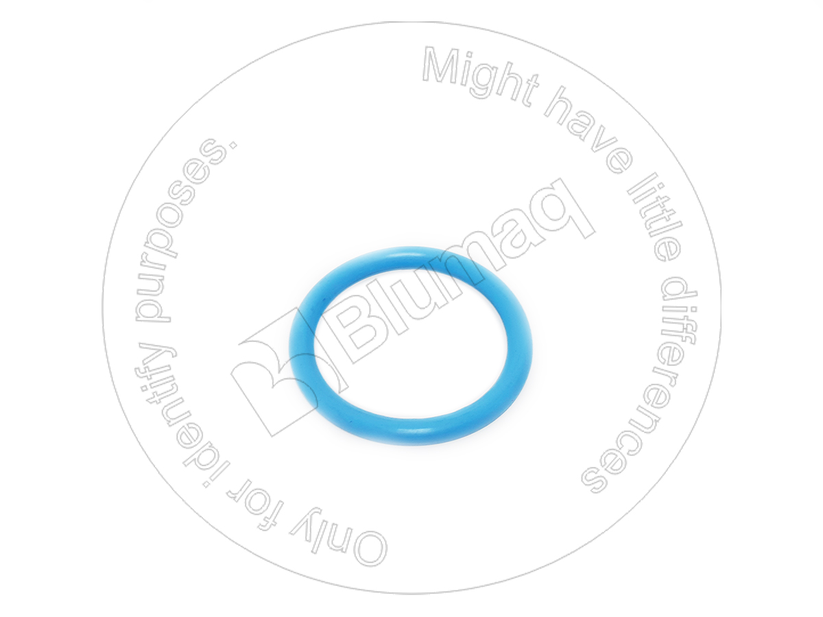 900.04022 Seal O-ring for BLUMAQ
