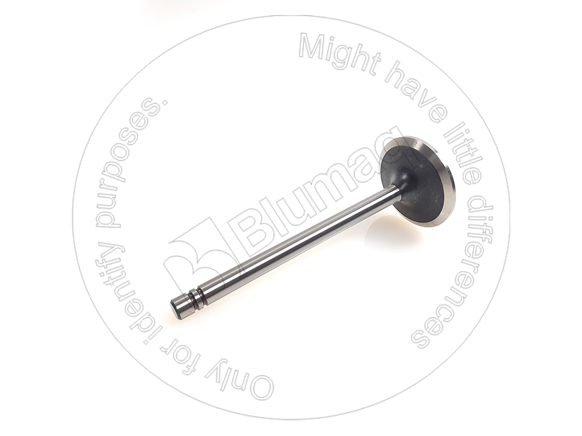 9L-7682 Intake Valve for BLUMAQ