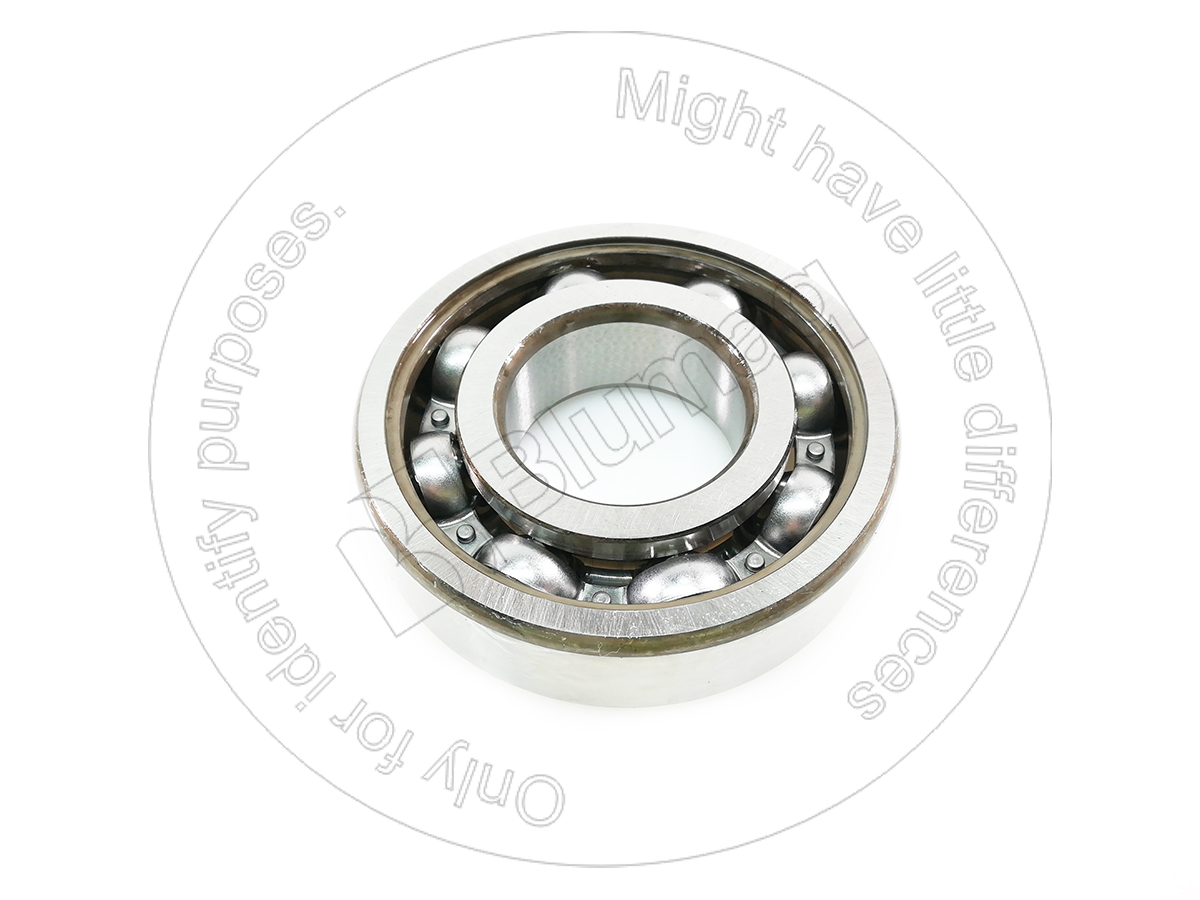 R21-0062083 Ball Bearing for BLUMAQ