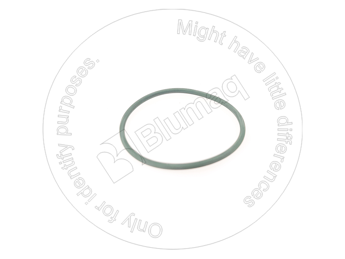 6E-5412 Seal O-ring for BLUMAQ