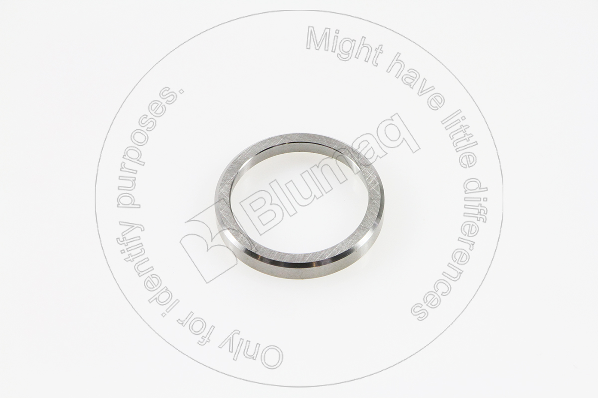 038.009 Valve Seat for BLUMAQ