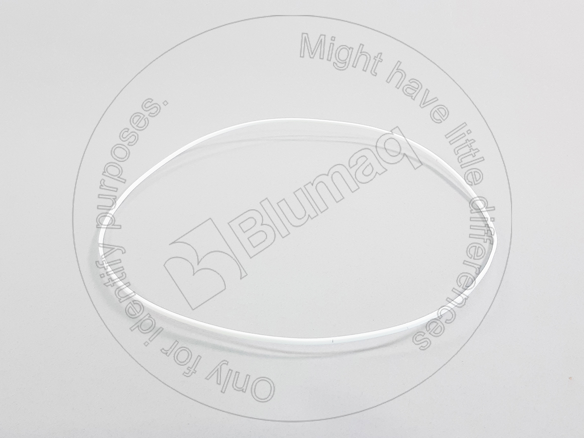 1S-9498 Segment for BLUMAQ