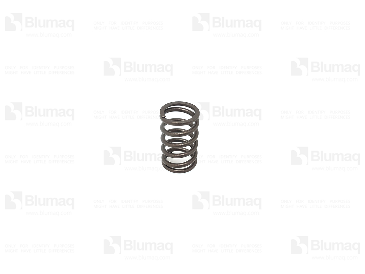 298-4530 Valve Spring for CATERPILLAR