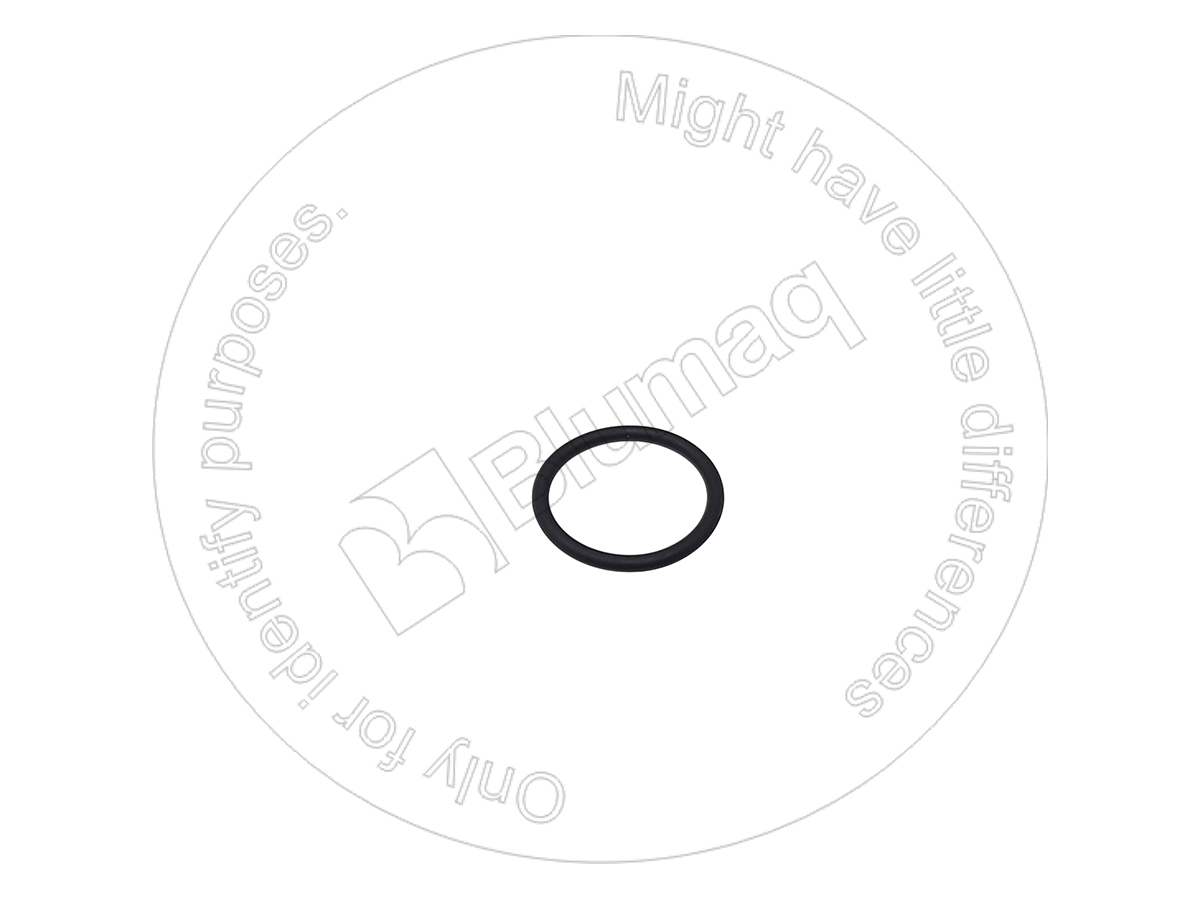 277-2545 Seal O-ring for BLUMAQ
