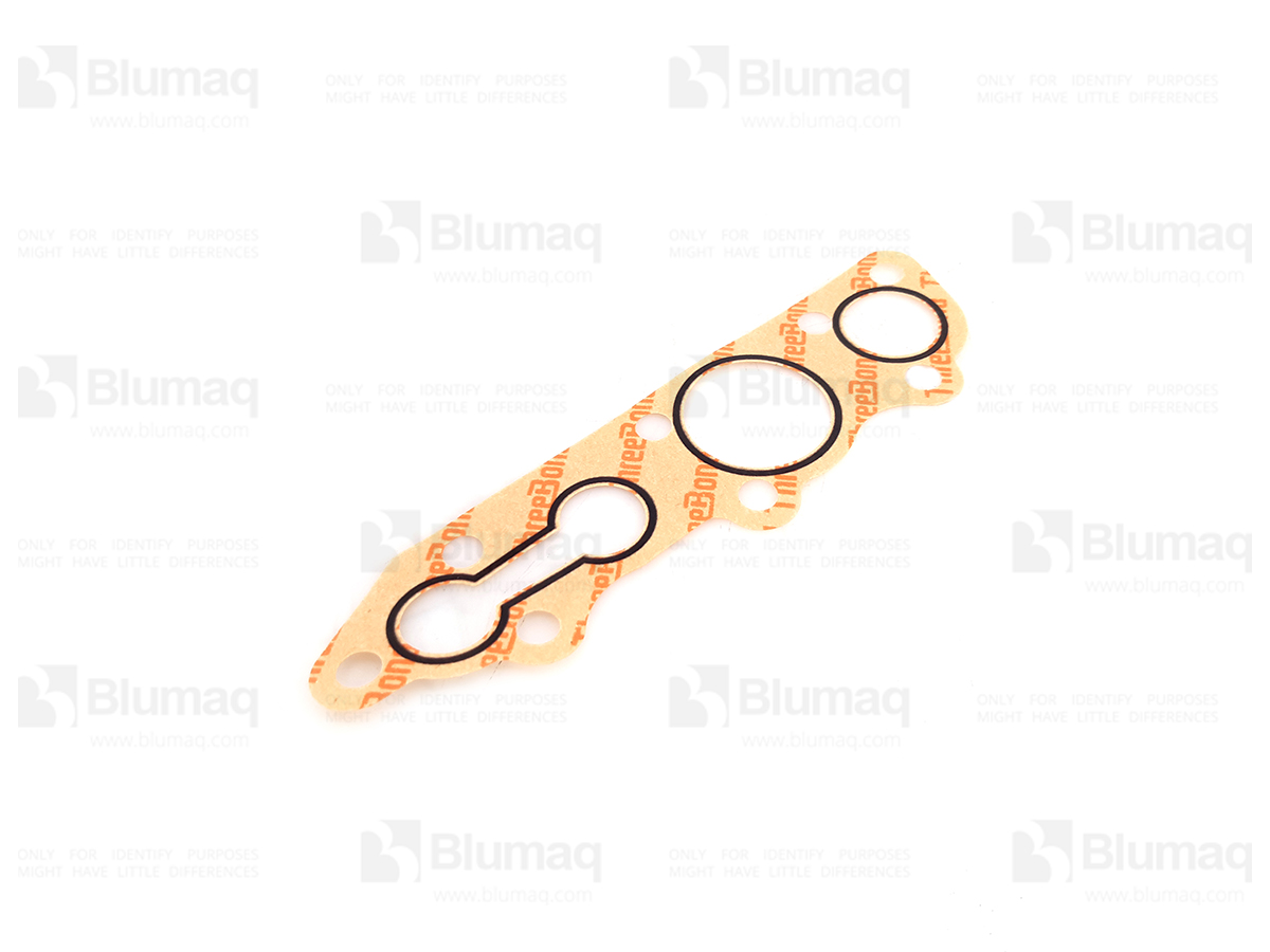 419-15-15740 Gasket for BLUMAQ