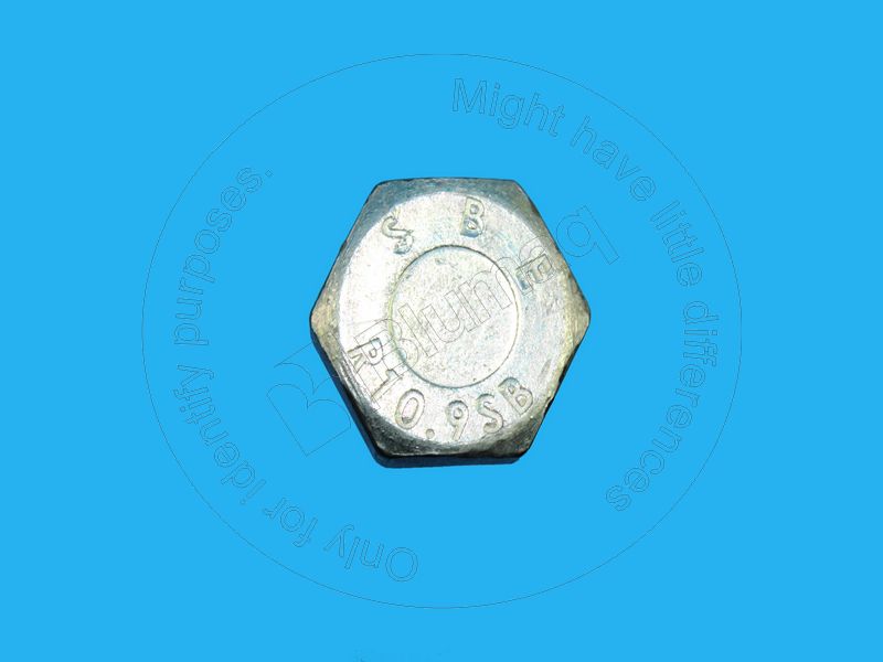 534-0310 Bolt