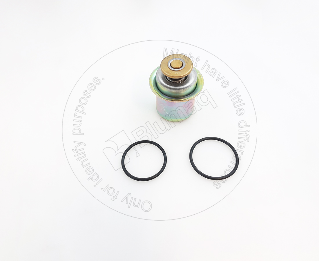6745-61-1111 Thermostat for BLUMAQ