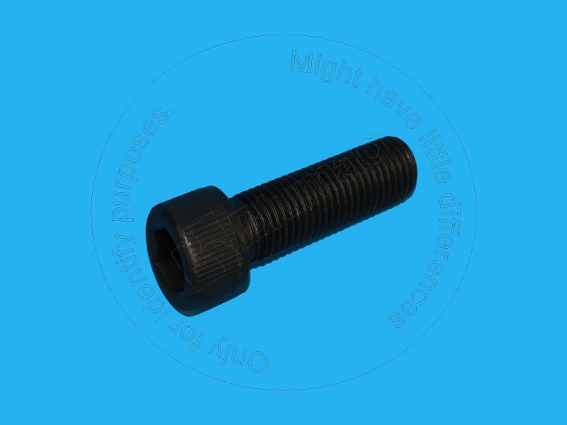 534-2656 Allen Bolt for BLUMAQ
