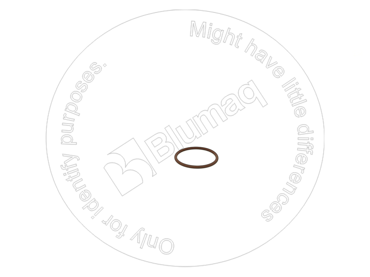 3P-0653 Seal O-ring for BLUMAQ