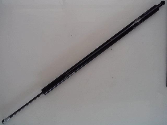 114980A1 Pneumatic Cylinder for CASE
