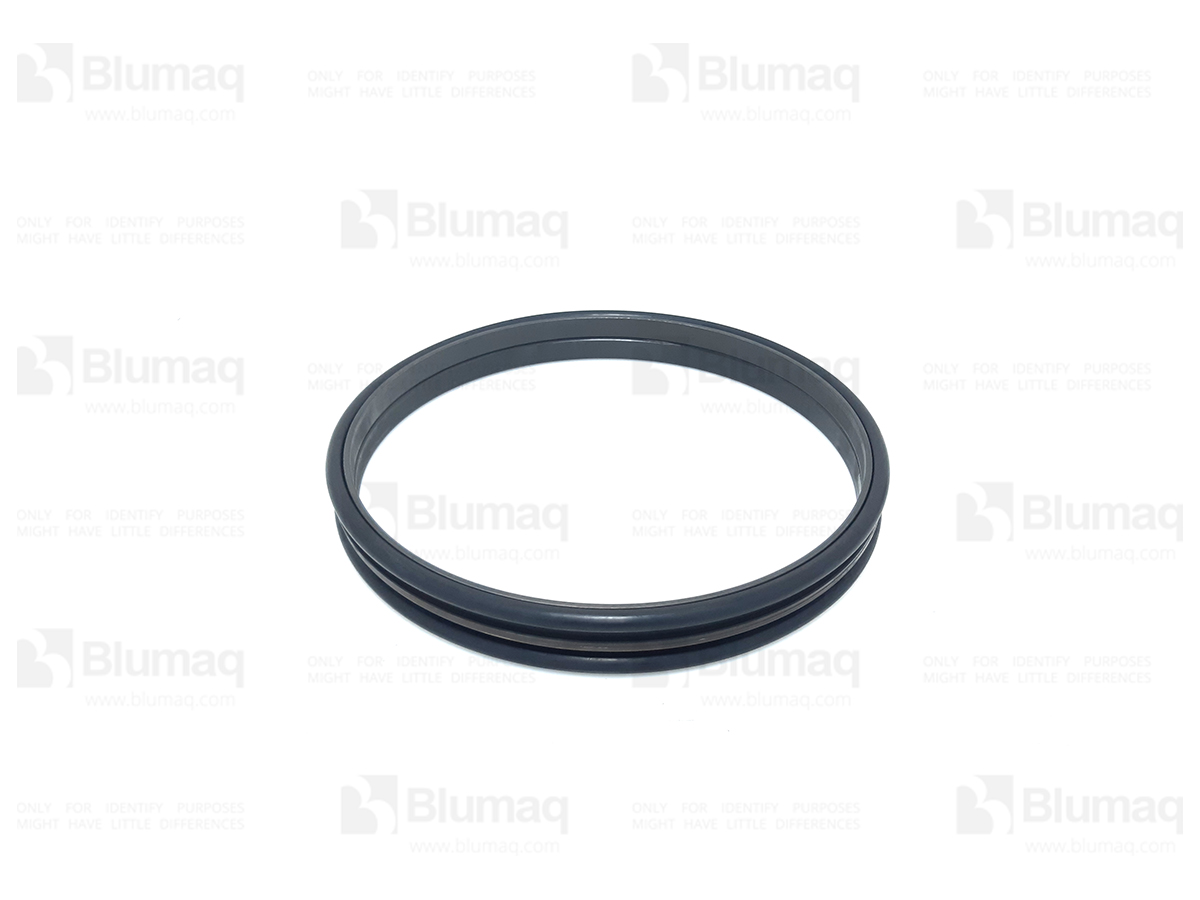 568-33-11362 Seal Gp. Duo-cone for BLUMAQ