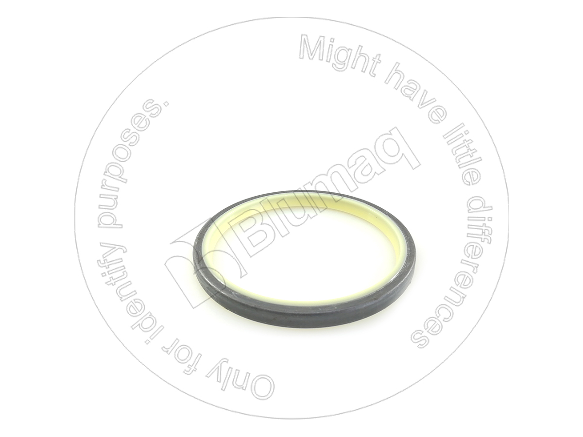 CSS97854 Gasket
