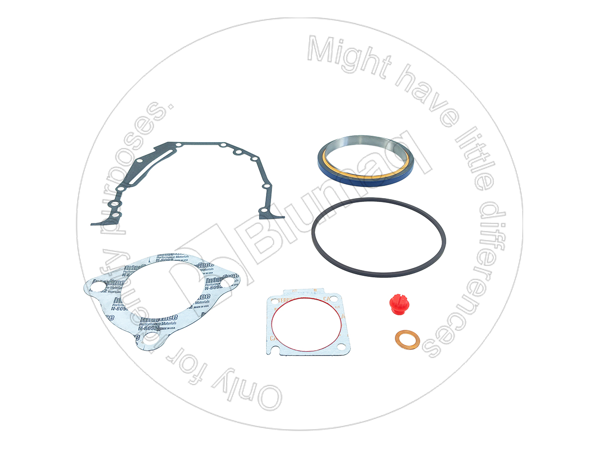 224-3871 Gasket Kit for BLUMAQ