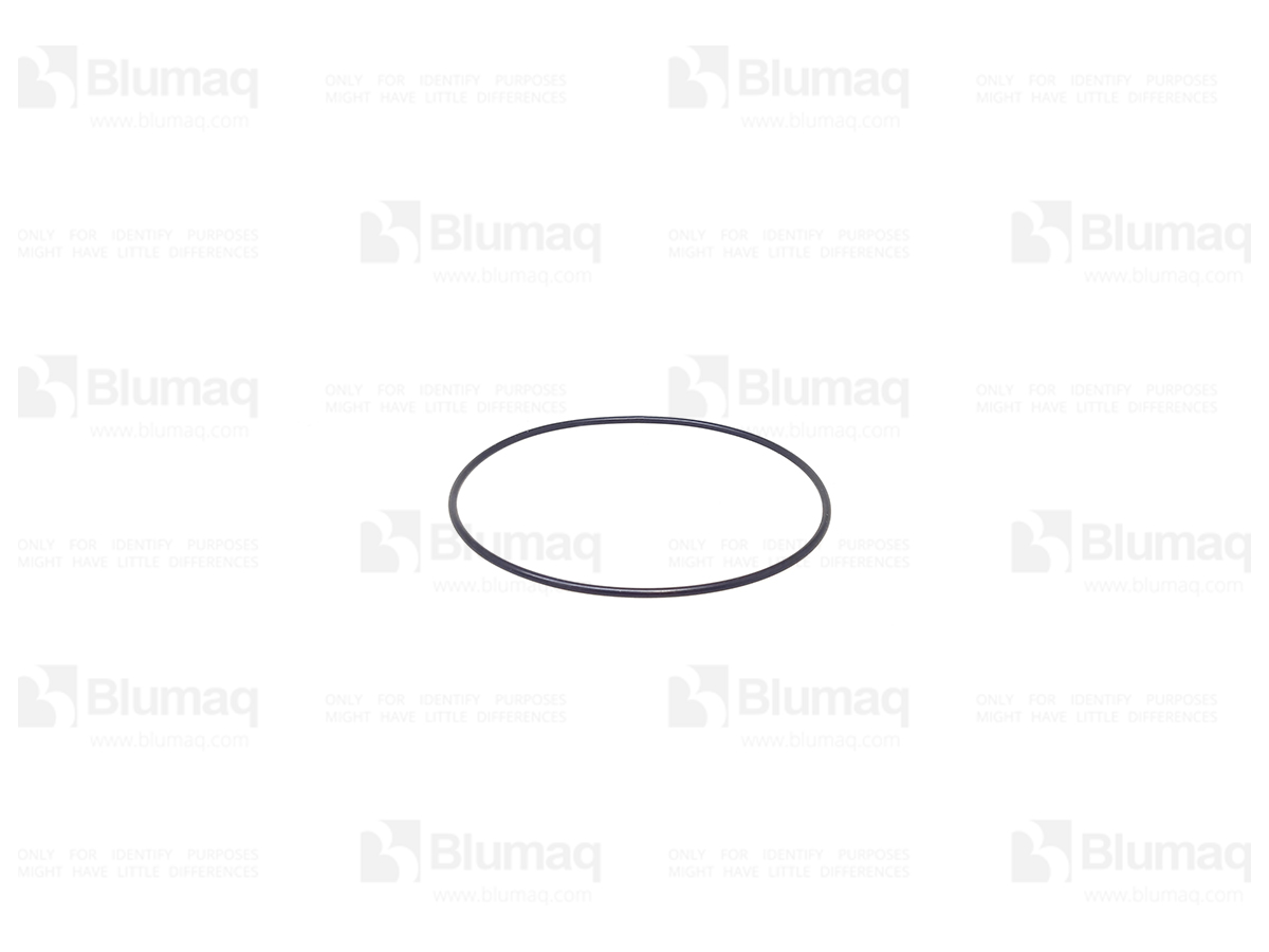 VO960259 Seal O-ring