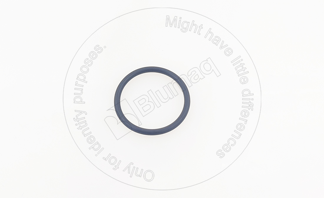 294-1774 Seal O-ring for BLUMAQ