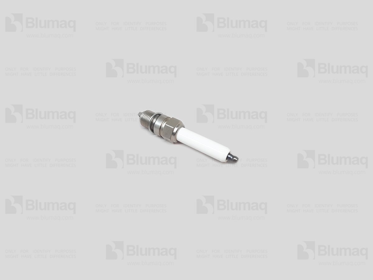 489-2766 Spark Plug for BLUMAQ