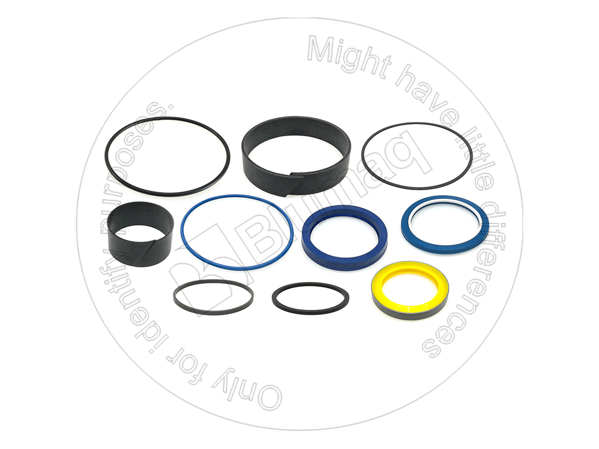 235-0972 Hydraulic Seal Kit for BLUMAQ