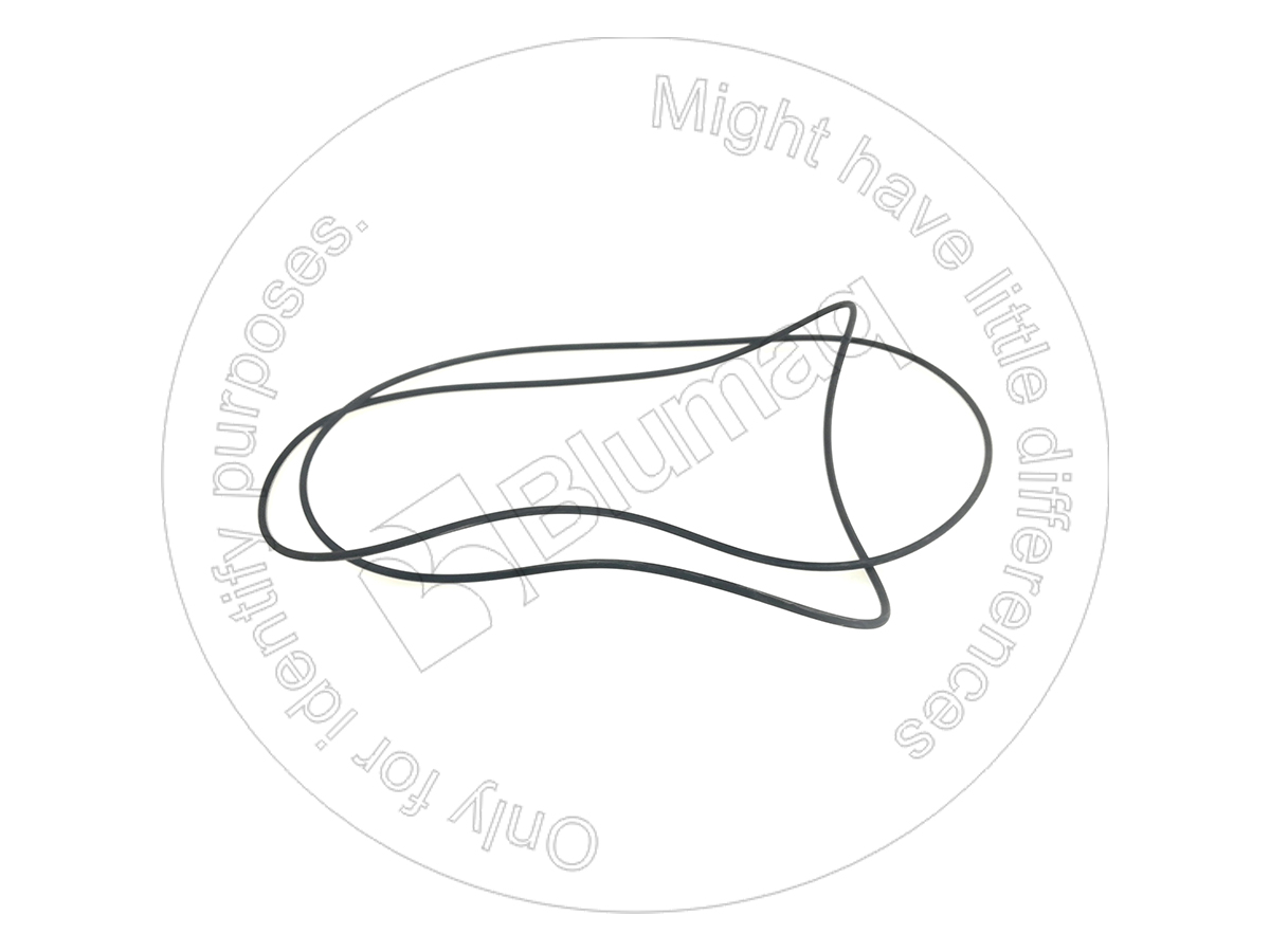 6W-4310 BLUMAQ Seal O-ring