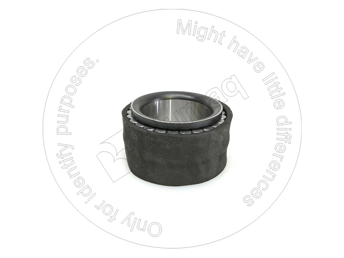 VO11143297 Roller Bearing for BLUMAQ