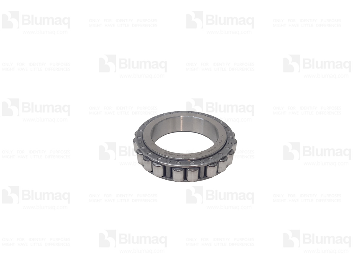 2H-6490 Bearing for BLUMAQ