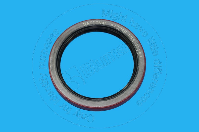 CSA46980 CASE Seal