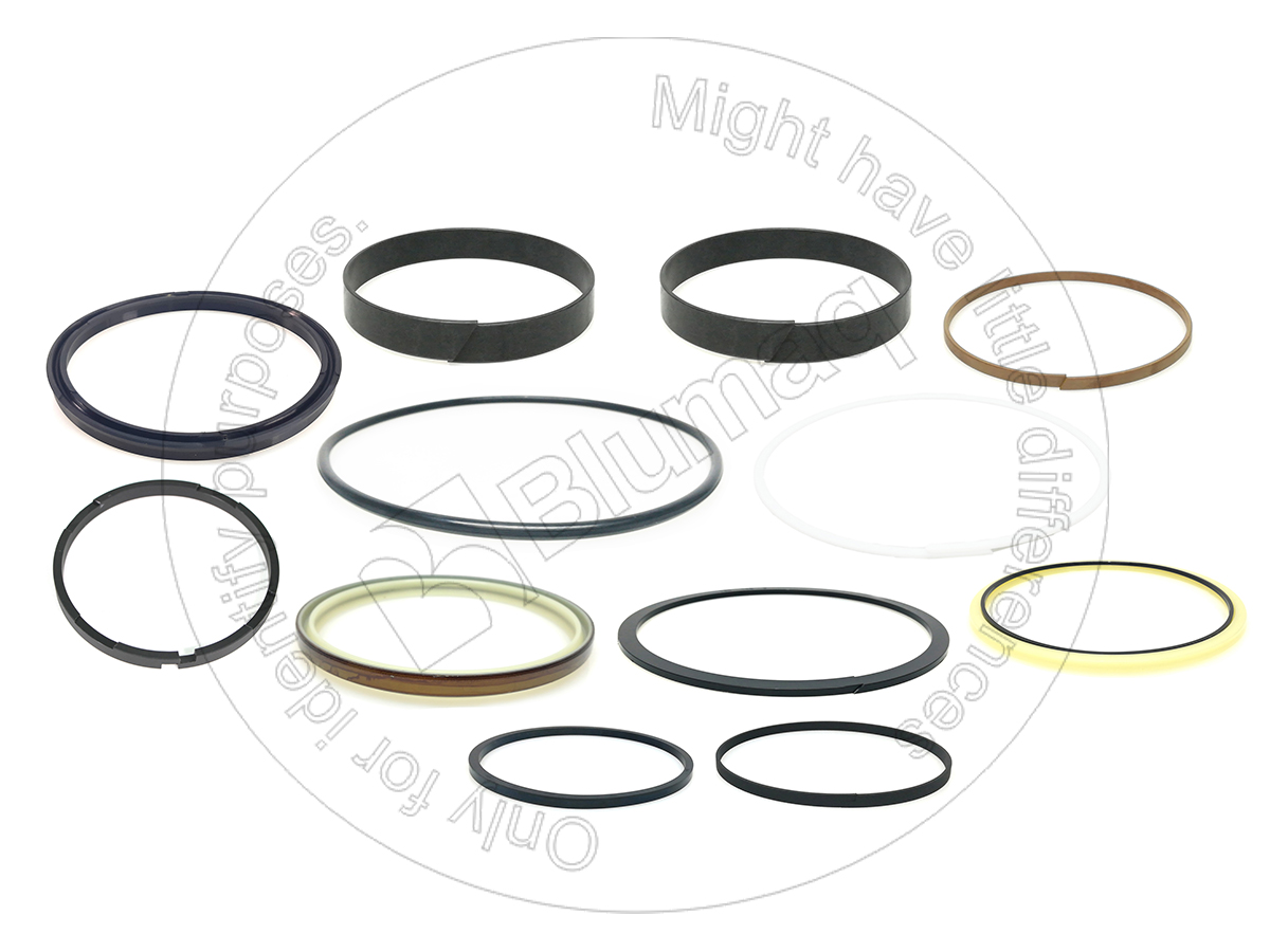 525-3520 Suspension Hyd. Seal Kit for BLUMAQ