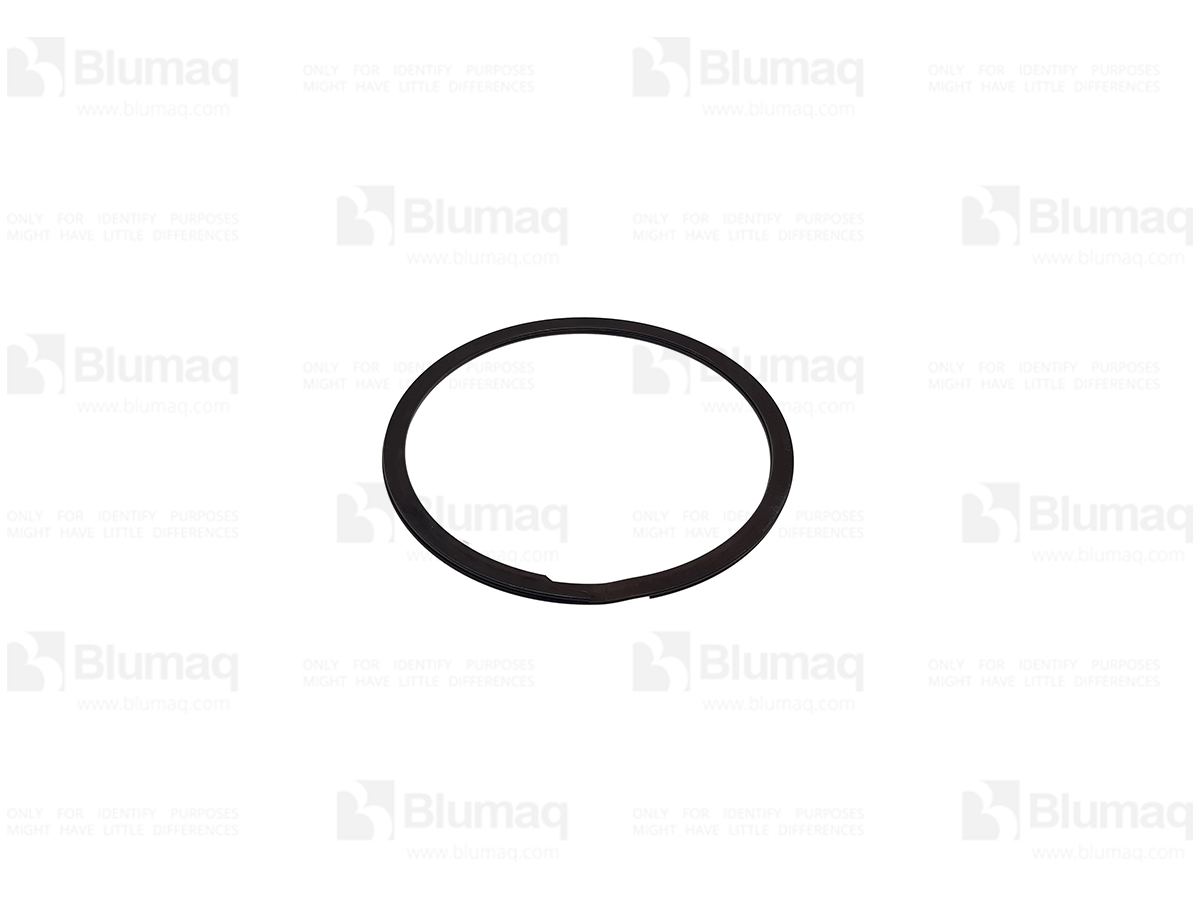 103-4262 Seal Ring