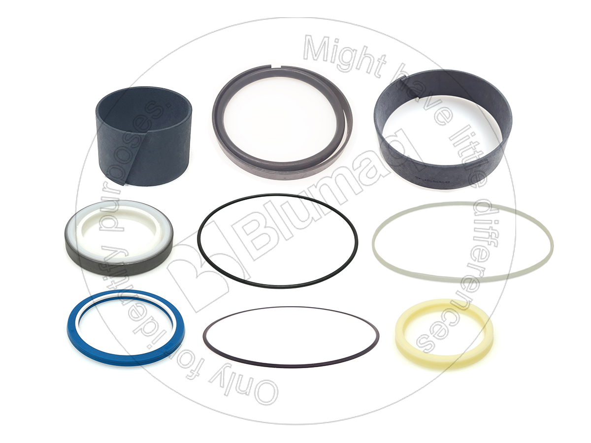 452-7462 Hydraulic Seal Kit for BLUMAQ