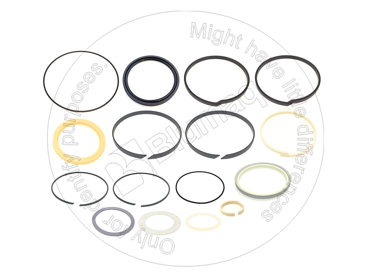 245-9842 Hydraulic Seal Kit for BLUMAQ