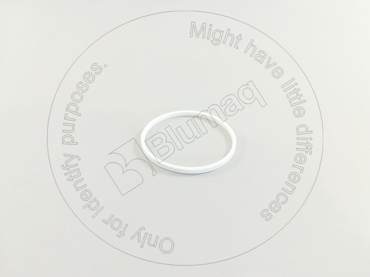 6J-0790 Seal O-ring for BLUMAQ