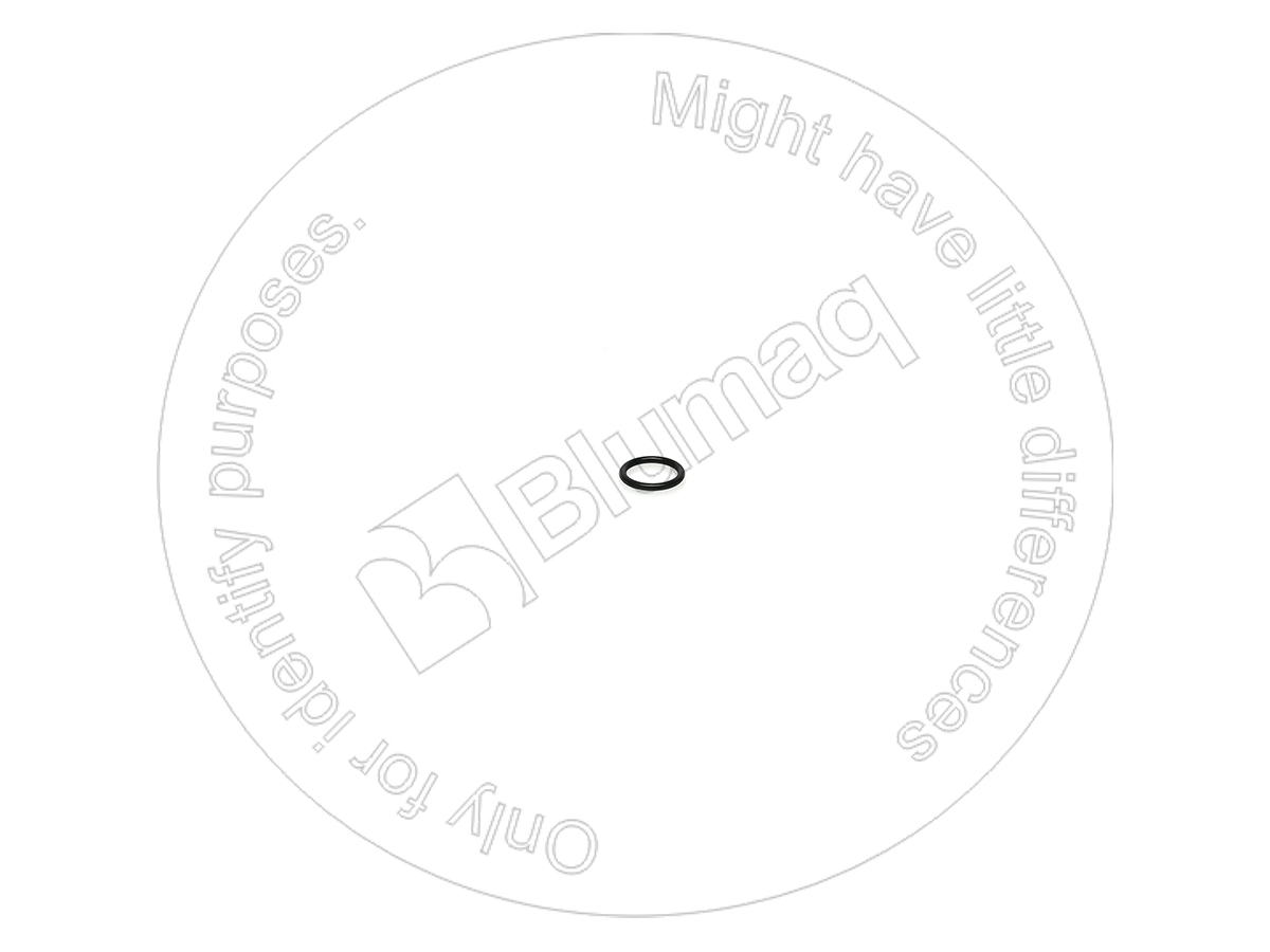 VOSA9512-01213 Seal O-ring for BLUMAQ