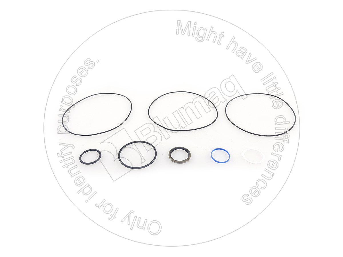 224-8722 BLUMAQ Seal Kit