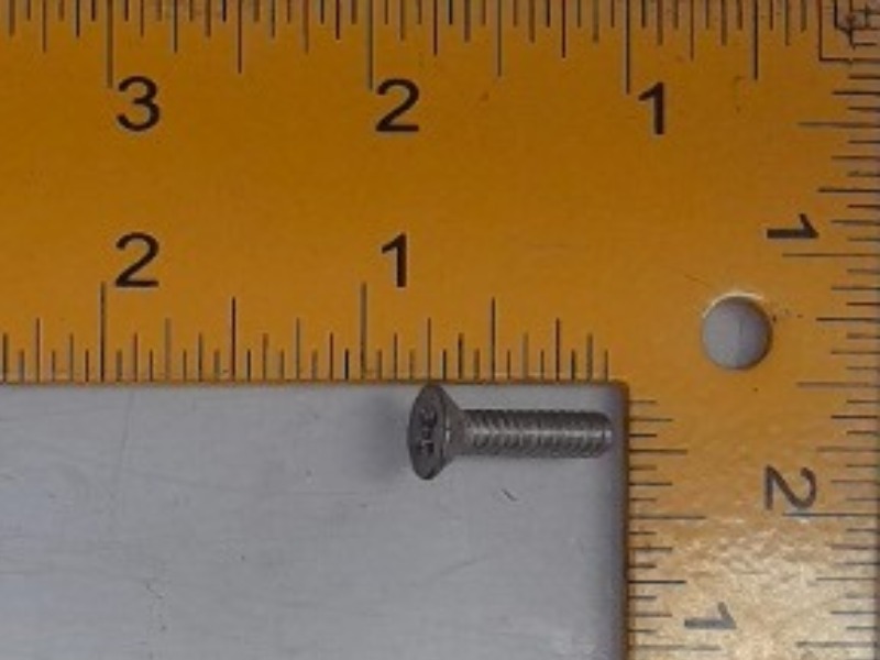 155945 Screw