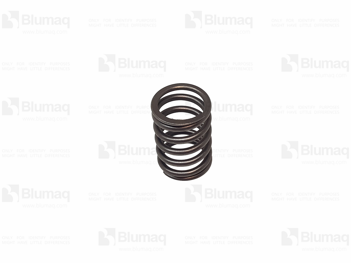 VO7467334 Valve Spring for BLUMAQ