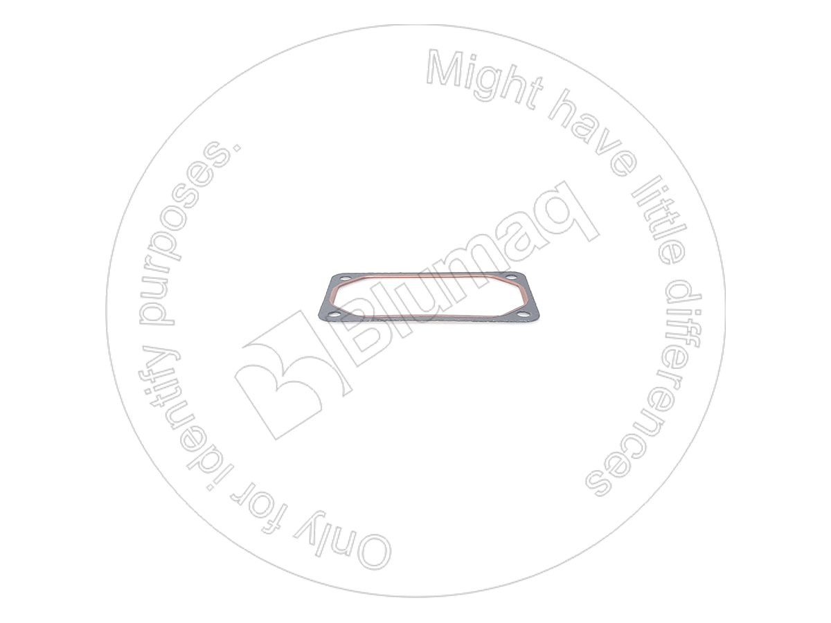 036.054 Gasket for BLUMAQ