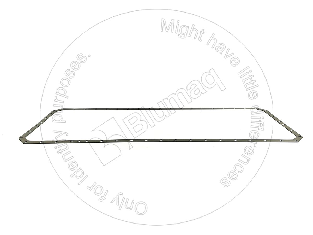2P3899 Gasket