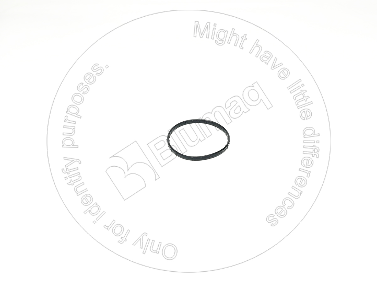224-6361 Seal for BLUMAQ