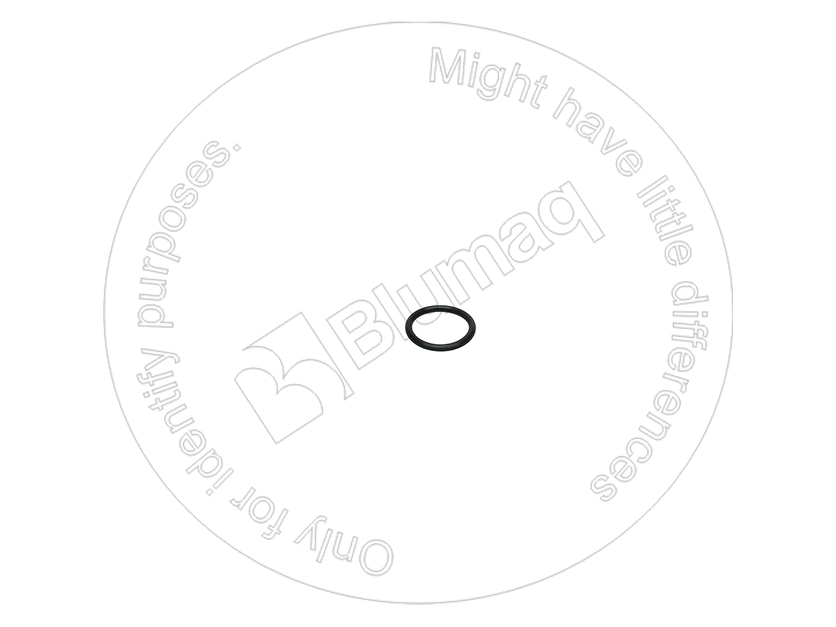 VOSA9512-01215 Seal O-ring for BLUMAQ