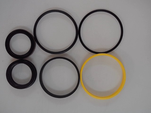 71512091 Seal Kit for AGCO