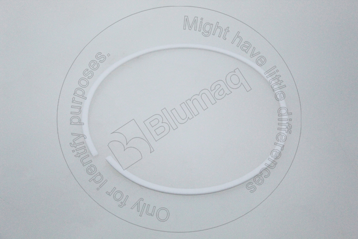 246-2899 Back-up Ring for BLUMAQ