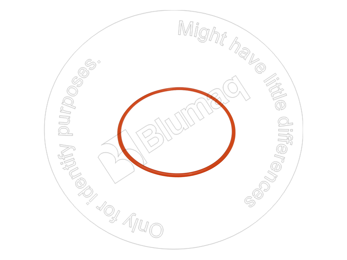 07000-73115 Seal O-ring for BLUMAQ